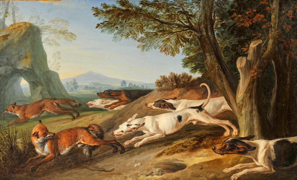 Chasse aux renards