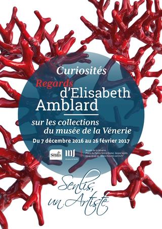 Curiosités | Regards d'Elisabeth Amblard sur les collections du musée de la Vénerie